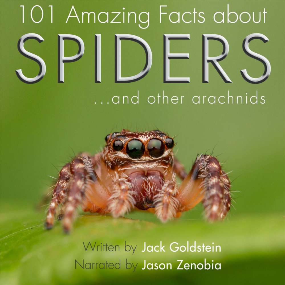 Cover von Jack Goldstein - 101 Amazing Facts about Spiders - ...and other arachnids