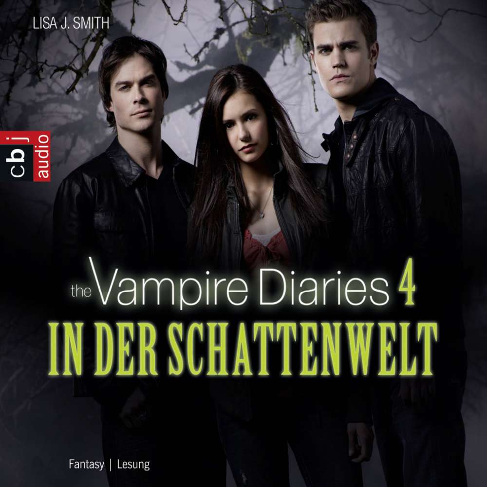 Cover von Lisa J. Smith - The Vampire Diaries - Folge 4 - In der Schattenwelt