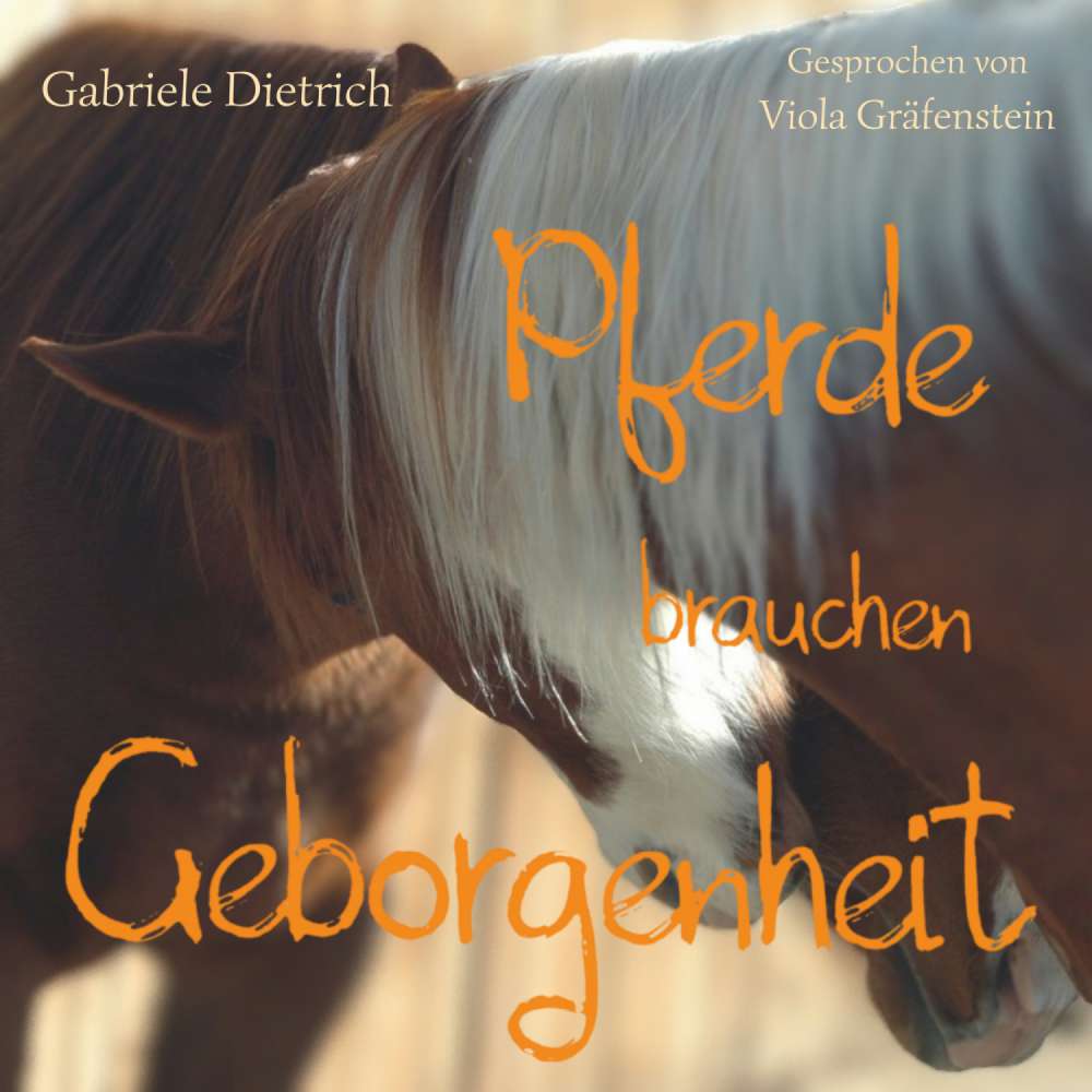 Cover von Gabriele Dietrich - Pferde brauchen Geborgenheit