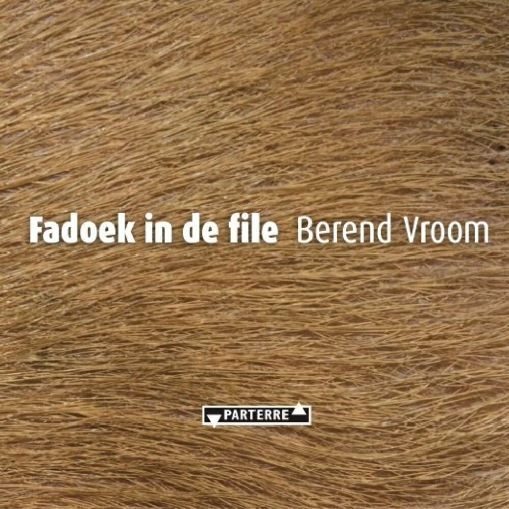 Cover von Berend Vroom - Fadoek in de file