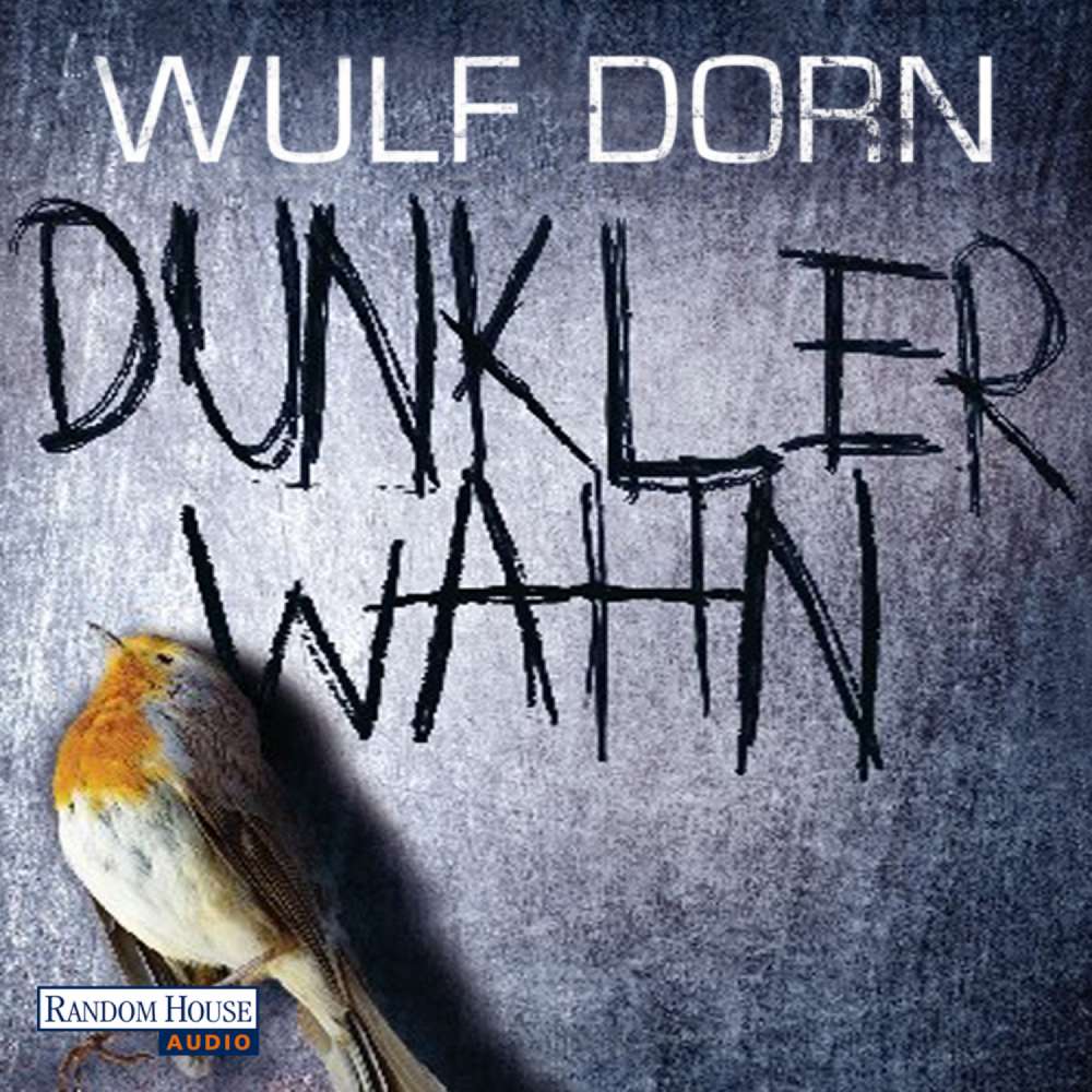 Cover von Wulf Dorn - Dunkler Wahn