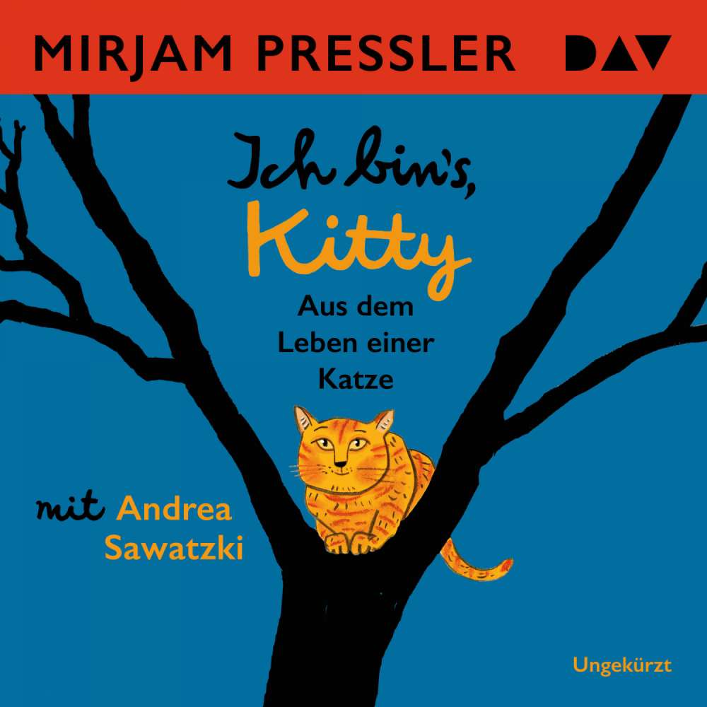 Cover von Mirjam Pressler - Ich bin's, Kitty. Aus dem Leben einer Katze
