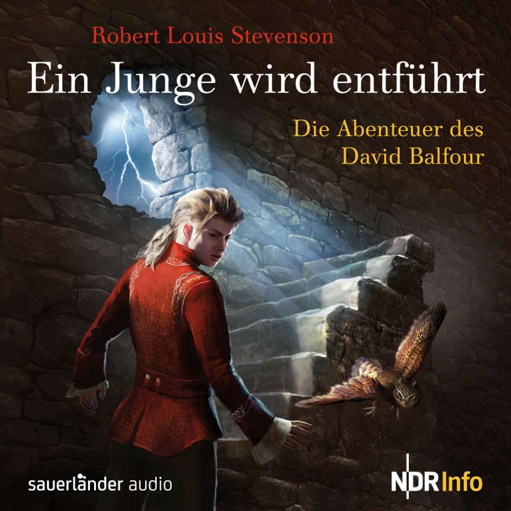 Cover von Robert Louis Stevenson - Ein Junge wird entführt - Die Abenteuer des David Balfour