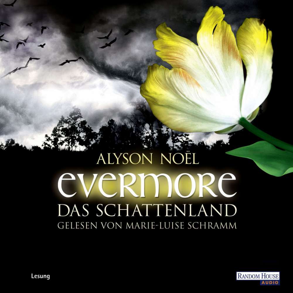 Cover von Alyson Noël - Evermore - Band 3 - Evermore. Das Schattenland