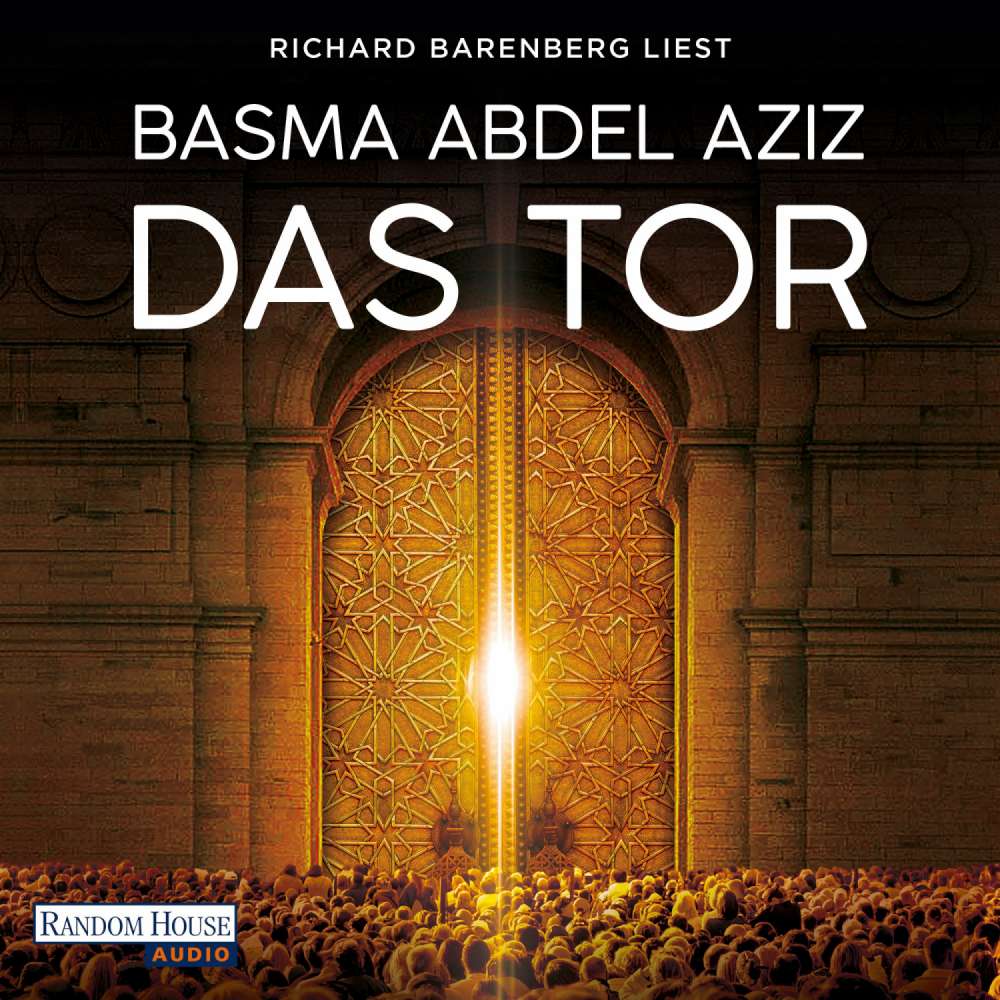 Cover von Basma Abdel Aziz - Das Tor