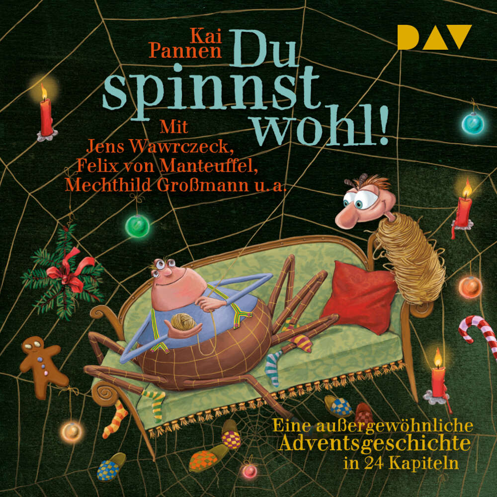 Cover von Kai Pannen - Du spinnst wohl! Eine außergewöhnliche Adventsgeschichte in 24 Kapiteln