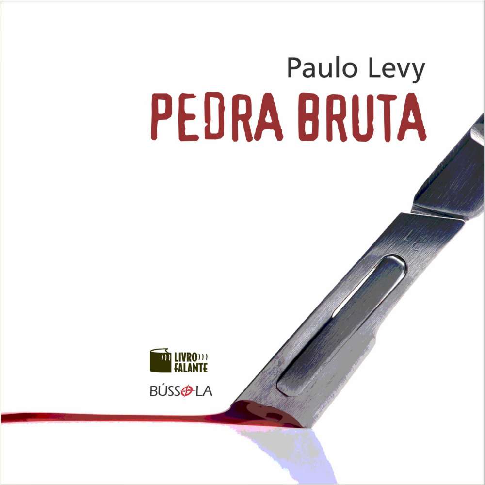 Cover von Paulo Levy - Pedra bruta