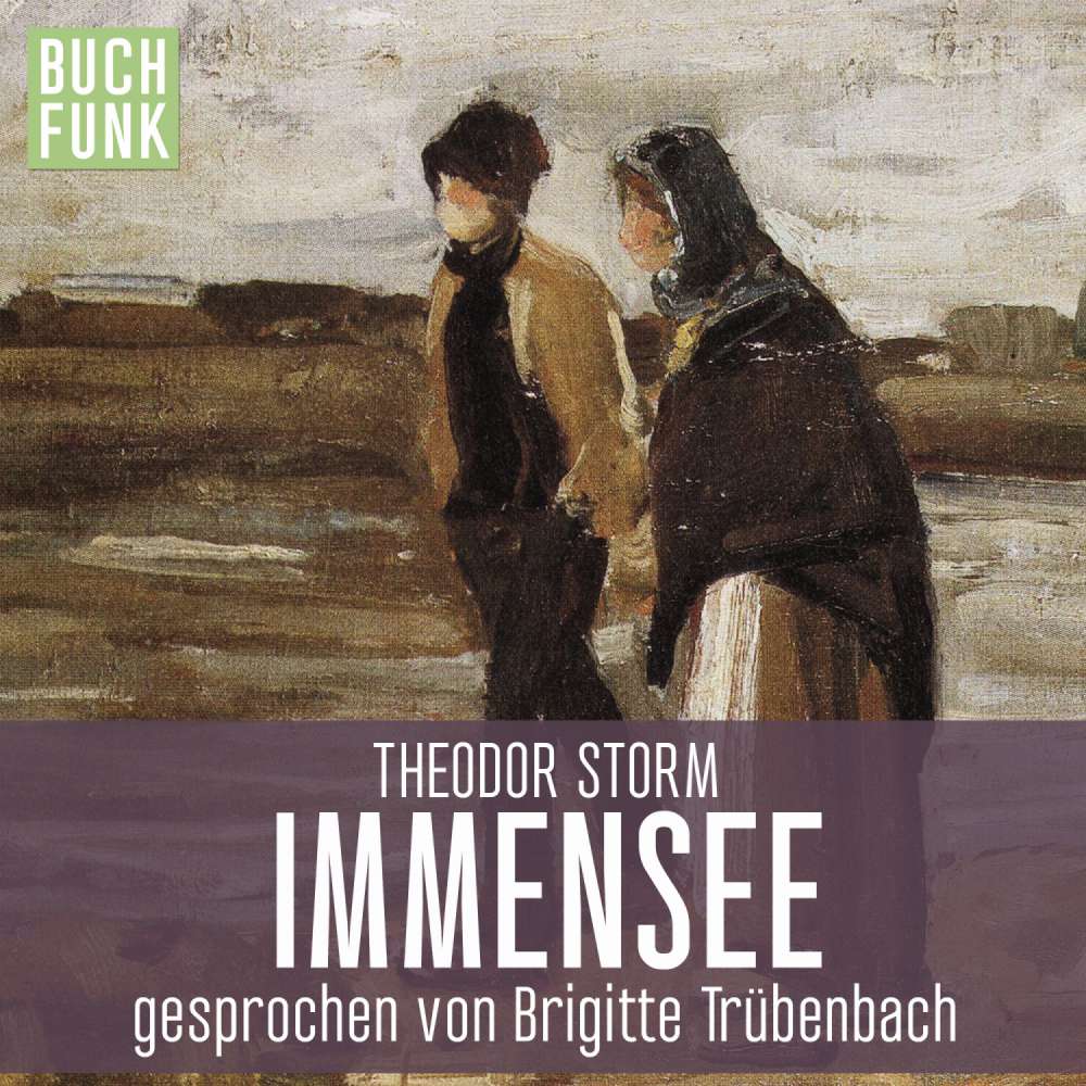 Cover von Theodor Storm - Immensee