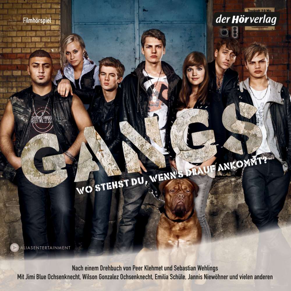 Cover von Sebastian Wehlings - Gangs - Das Hörspiel zum Film