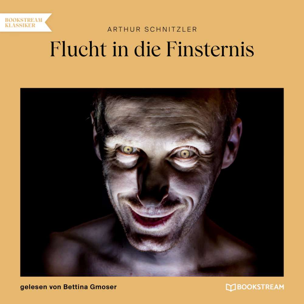 Cover von Arthur Schnitzler - Flucht in die Finsternis