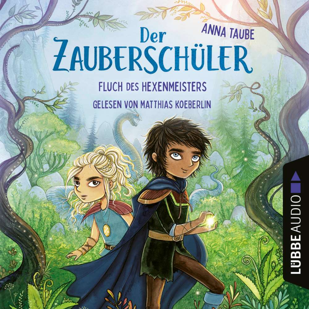Cover von Anna Taube - Der Zauberschüler - Teil 1 - Fluch des Hexenmeisters