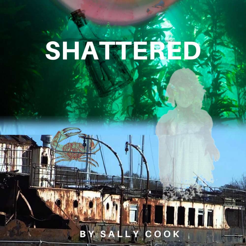 Cover von Sally Cook - Shattered