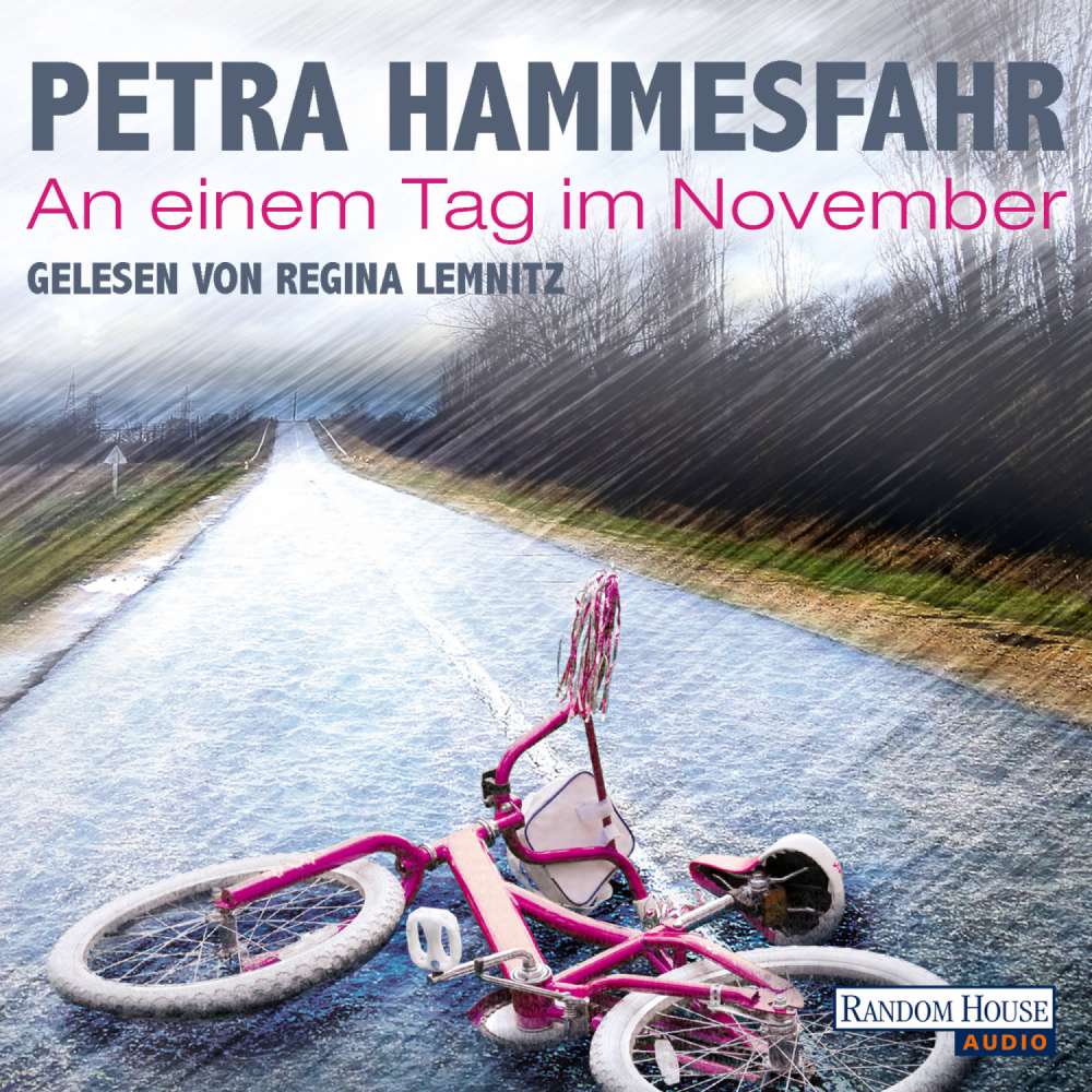 Cover von Petra Hammesfahr - An einem Tag im November