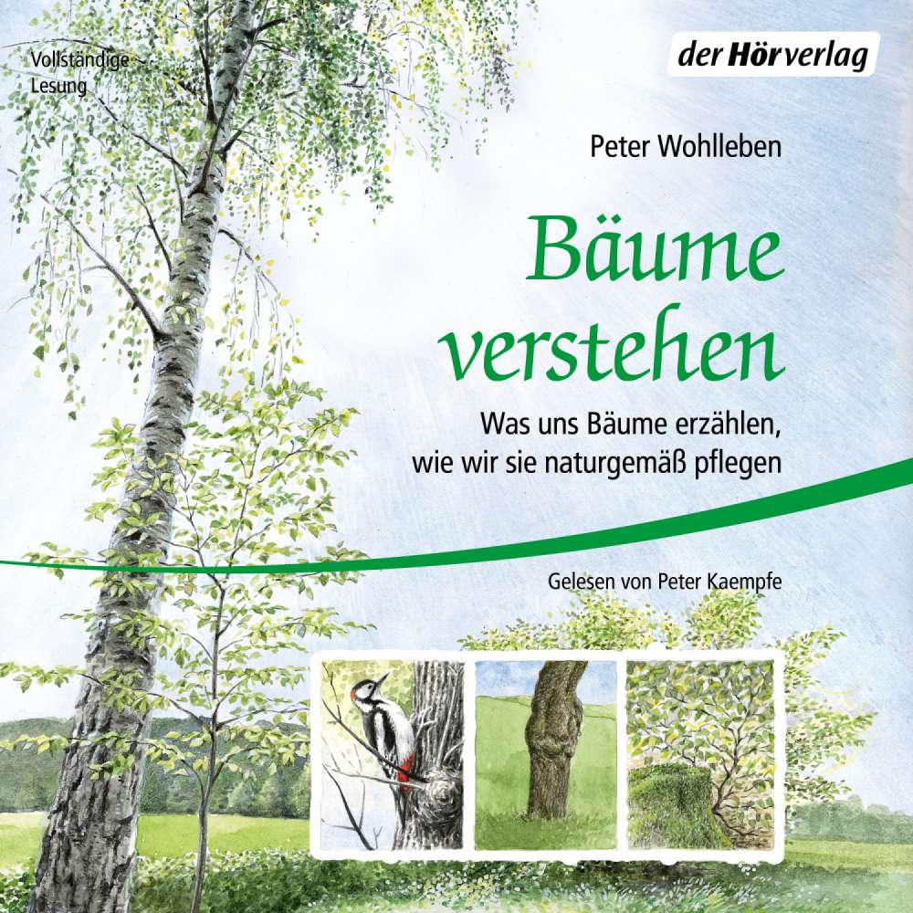 Cover von Peter Wohlleben - Bäume verstehen - Was uns Bäume erzählen, wie wir sie naturgemäß pflegen