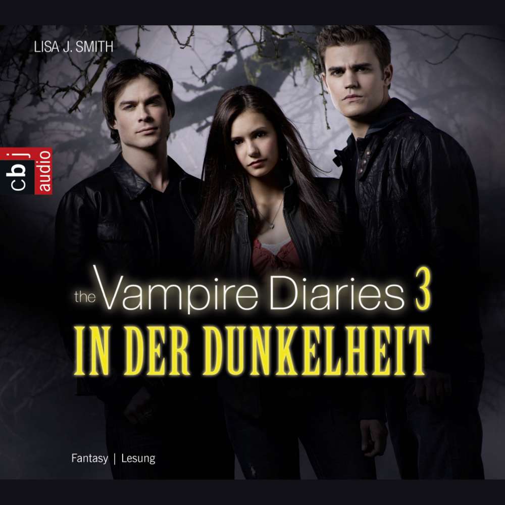 Cover von Lisa J. Smith - Tagebuch eines Vampirs (Vampire Diaries) - Folge 3 - In der Dunkelheit