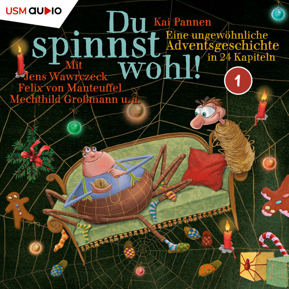 Cover von Du spinnst wohl! - Folge 1 - Eine außergewöhnliche Adventsgeschichte in 24 Kapiteln