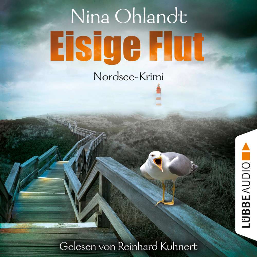 Cover von Nina Ohlandt - Hauptkommissar John Benthien - Band 5 - Eisige Flut - John Benthiens fünfter Fall