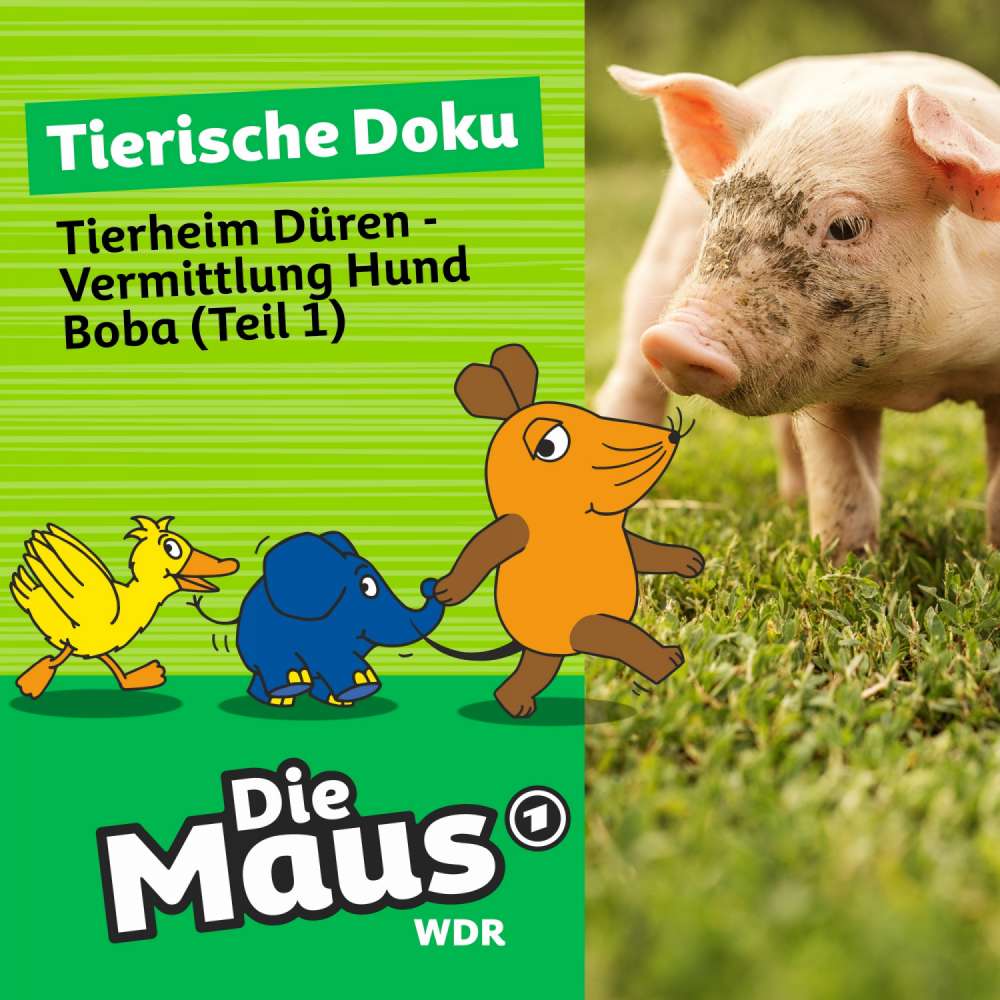 Cover von Die Maus - Folge 6 - Tierheim Düren - Vermittlung Hund Boba (Teil 1)