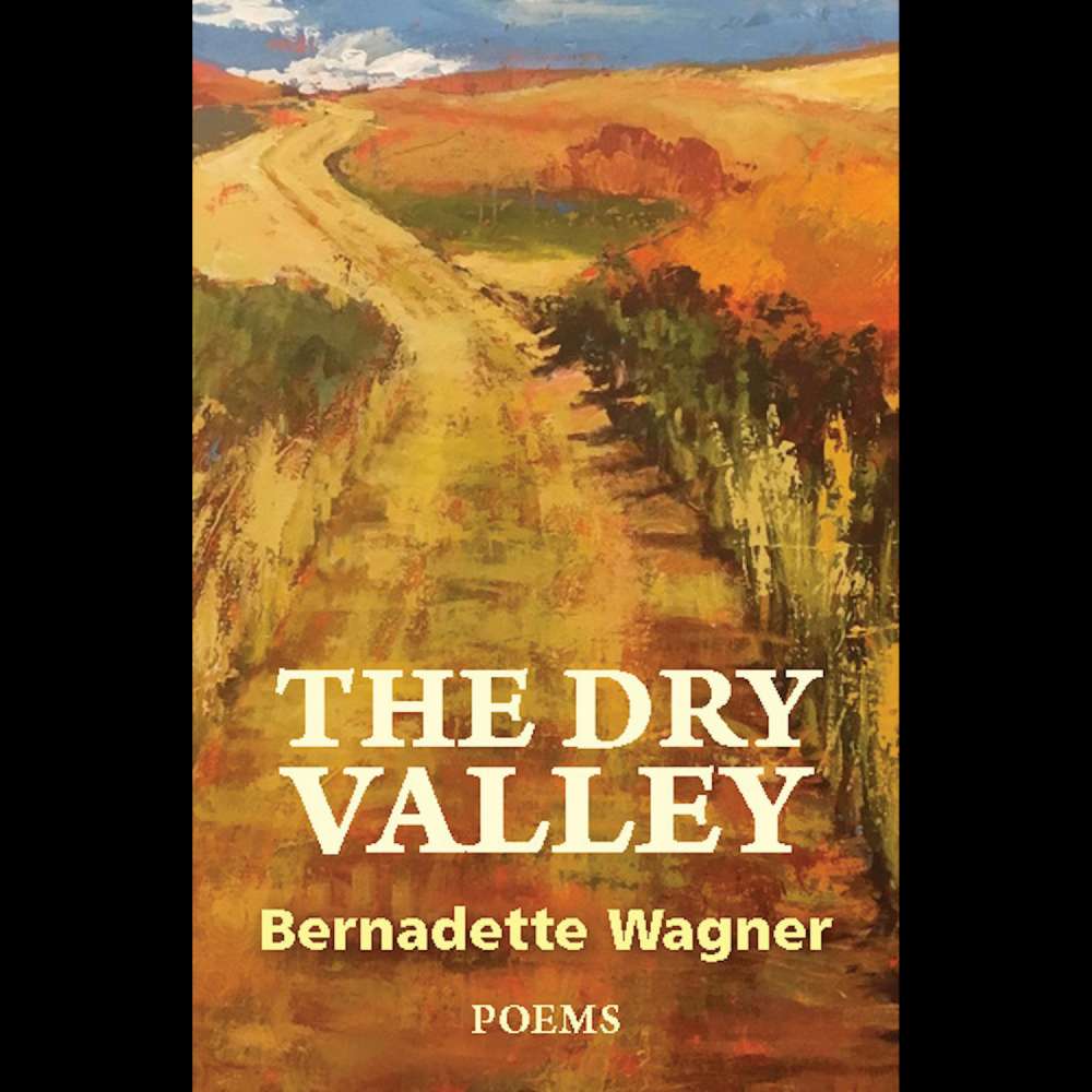 Cover von Bernadette Wagner - The Dry Valley