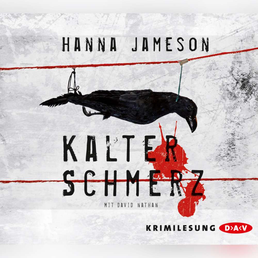 Cover von Hanna Jameson - Kalter Schmerz