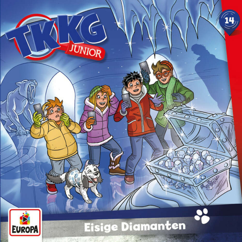 Cover von TKKG Junior - Folge 14: Eisige Diamanten