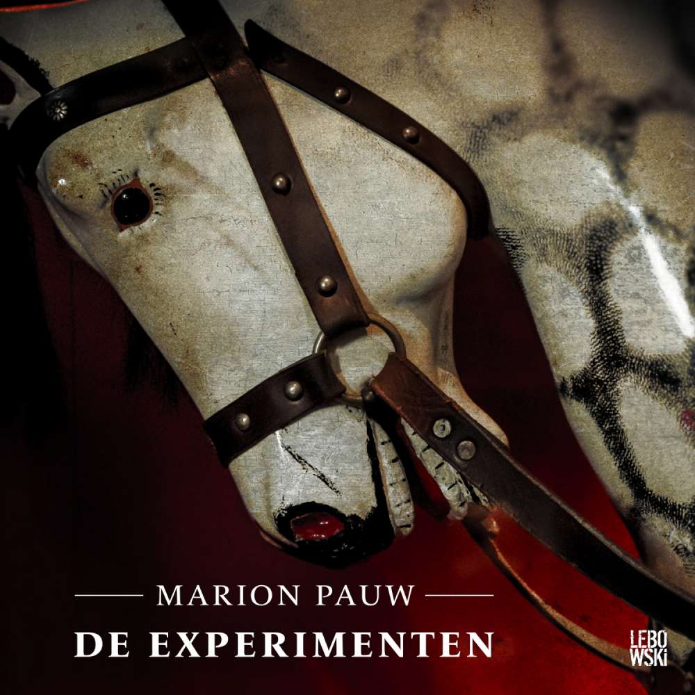 Cover von Marion Pauw - De experimenten