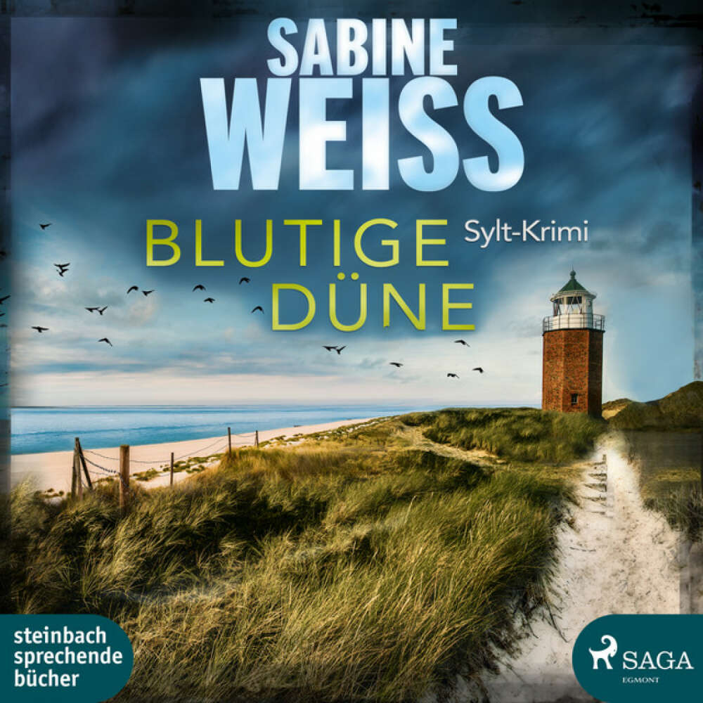Cover von Sabine Weiß - Blutige Düne: Sylt-Krimi (Liv Lammers, Band 4)