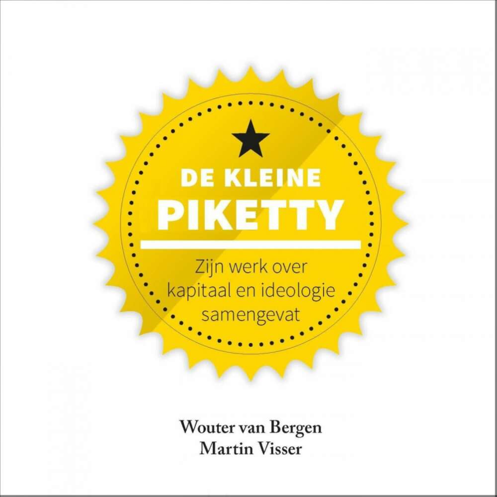Cover von Martin Visser - De kleine Piketty