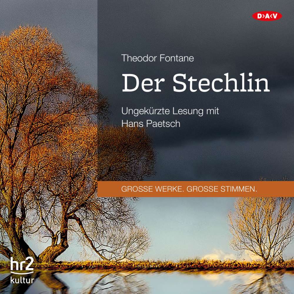 Cover von Theodor Fontane - Der Stechlin