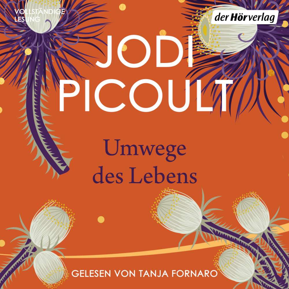 Cover von Jodi Picoult - Umwege des Lebens