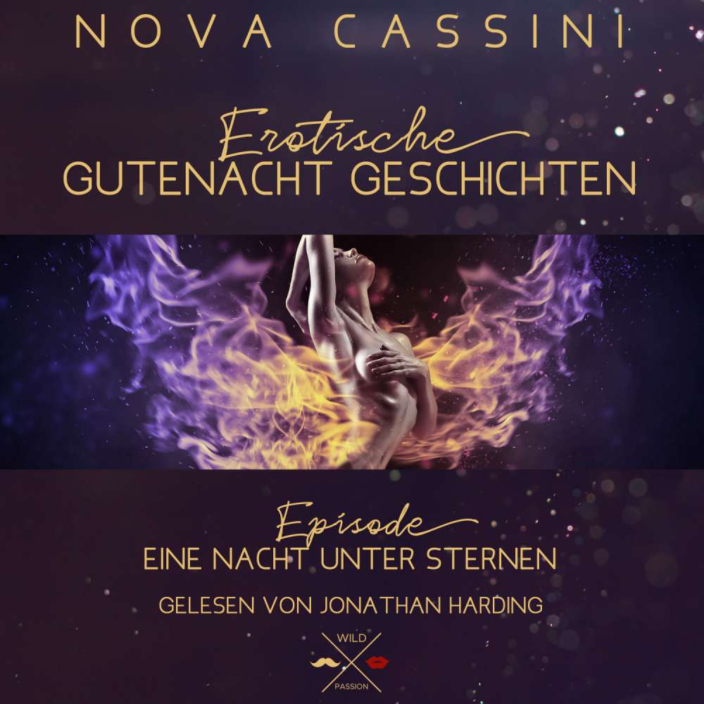 Cover von Nova Cassini - Erotische Gutenacht Geschichten - Band 4 - Eine Nacht unter Sternen