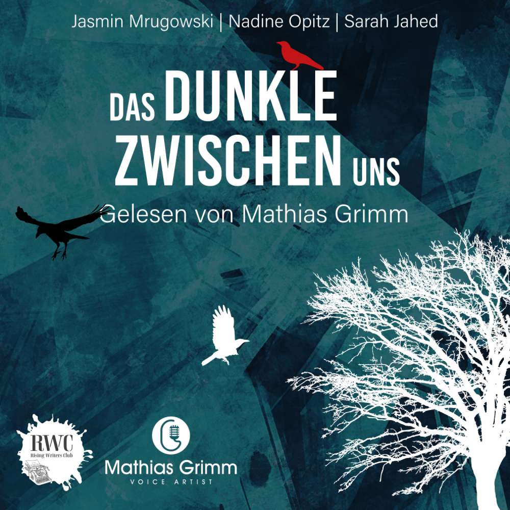 Cover von Jasmin Mrugowski - Das Dunkle zwischen uns - 17 düstere Kurzgeschichten