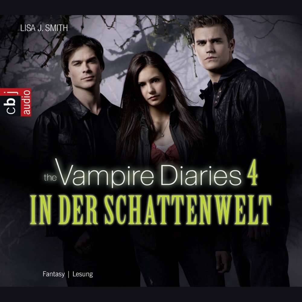 Cover von Lisa J. Smith - The Vampire Diaries - Teil 4 - Im Schattenland