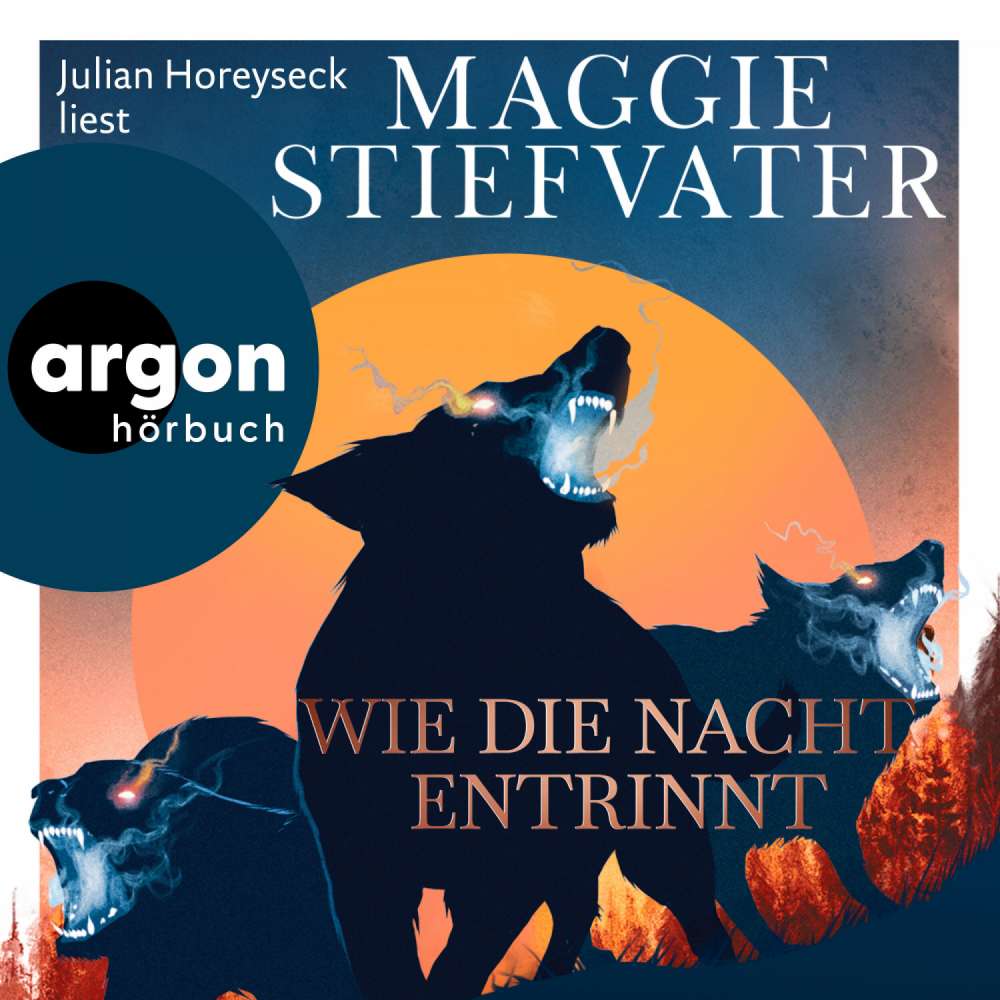 Cover von Maggie Stiefvater - Dreamer-Trilogie - Band 3 - Wie die Nacht entrinnt