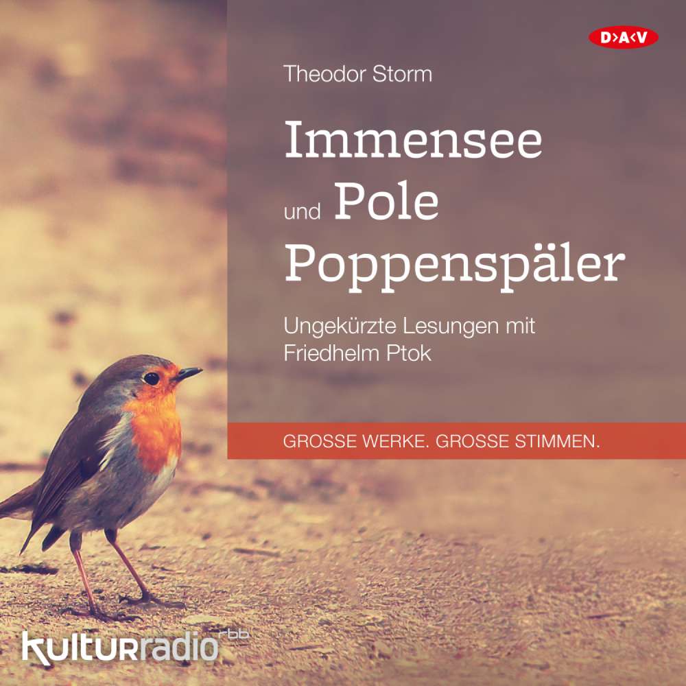 Cover von Theodor Storm - Immensee und Pole Poppenspäler