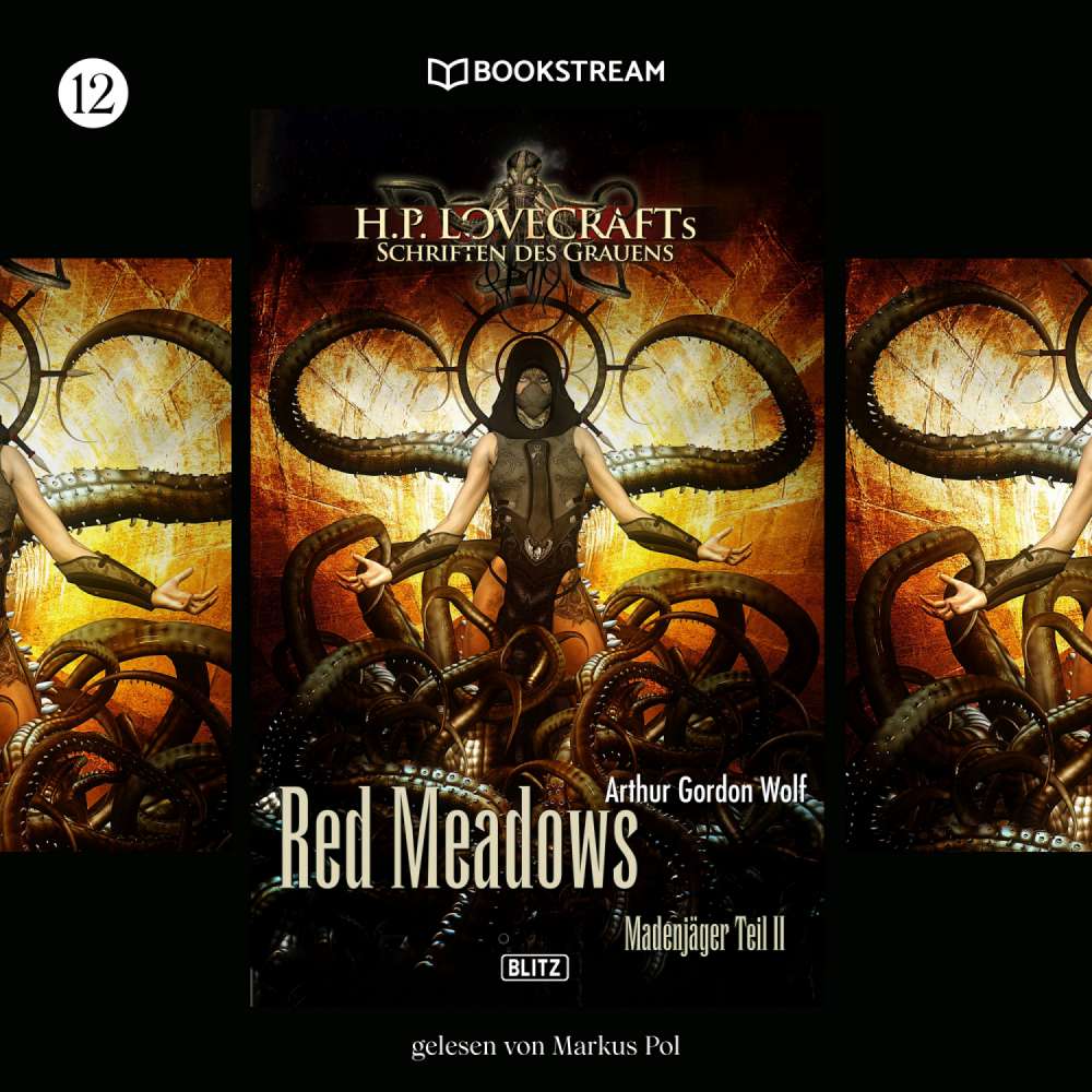 Cover von H. P. Lovecraft - H. P. Lovecrafts Schriften des Grauens - Folge 12 - Red Meadows