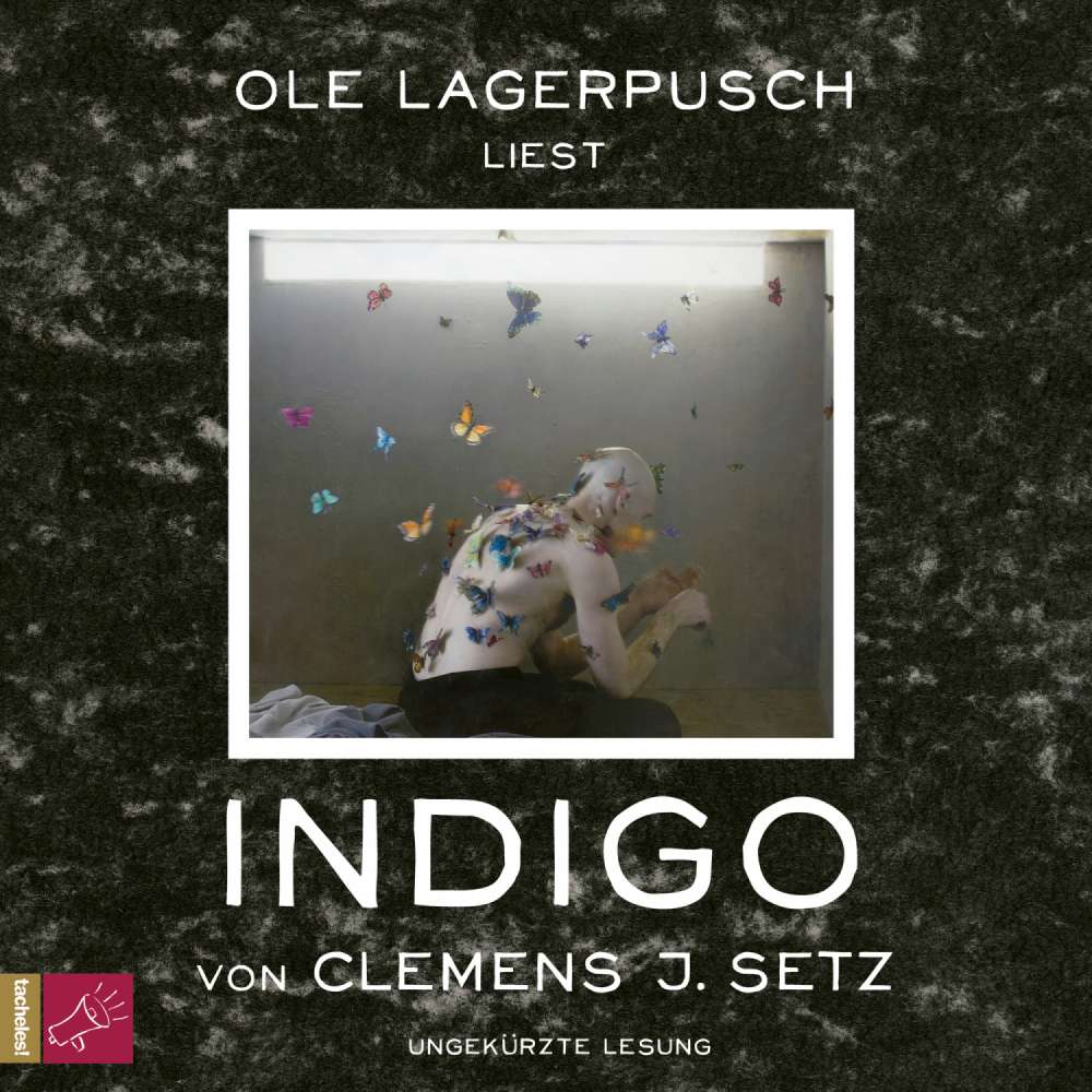 Cover von Clemens J. Setz - Indigo