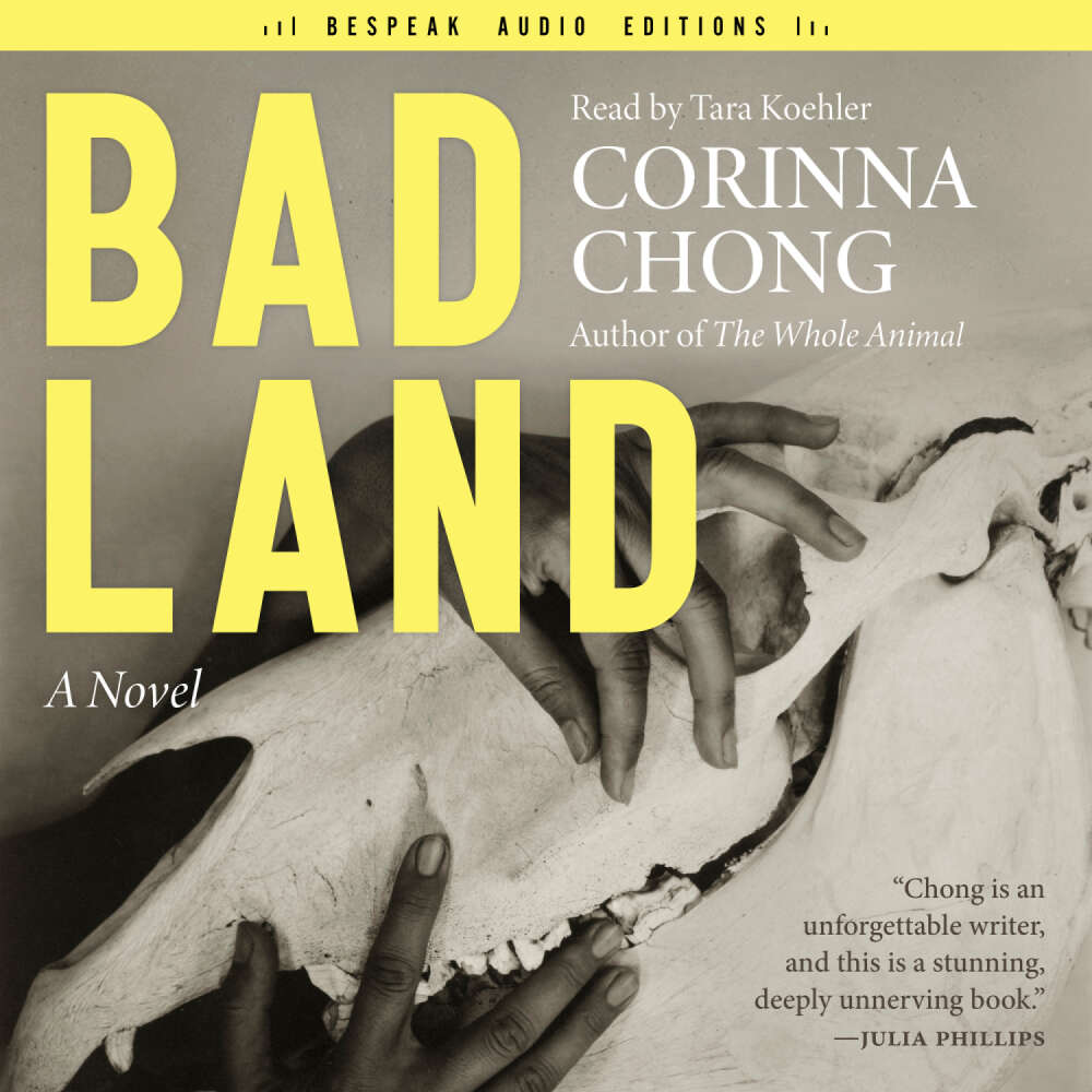 Cover von Corinna Chong - Bad Land