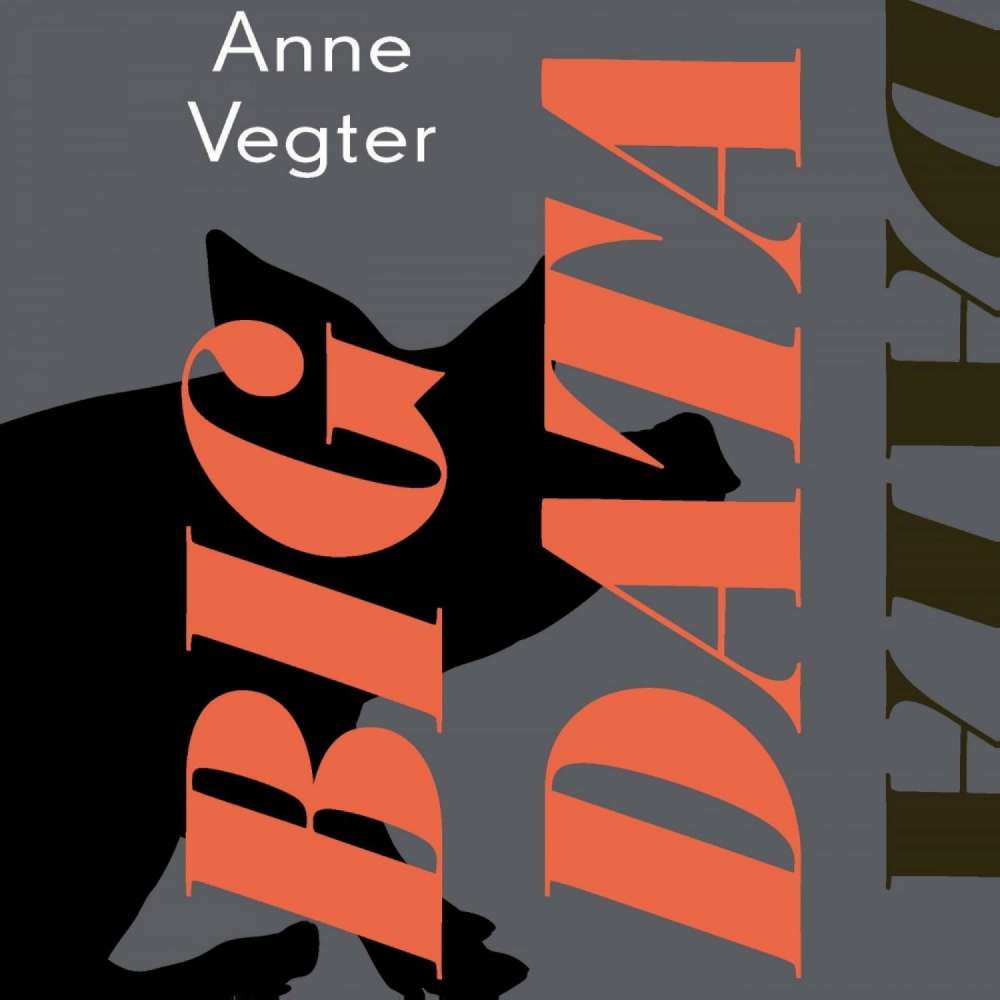 Cover von Anne Vegter - Big data