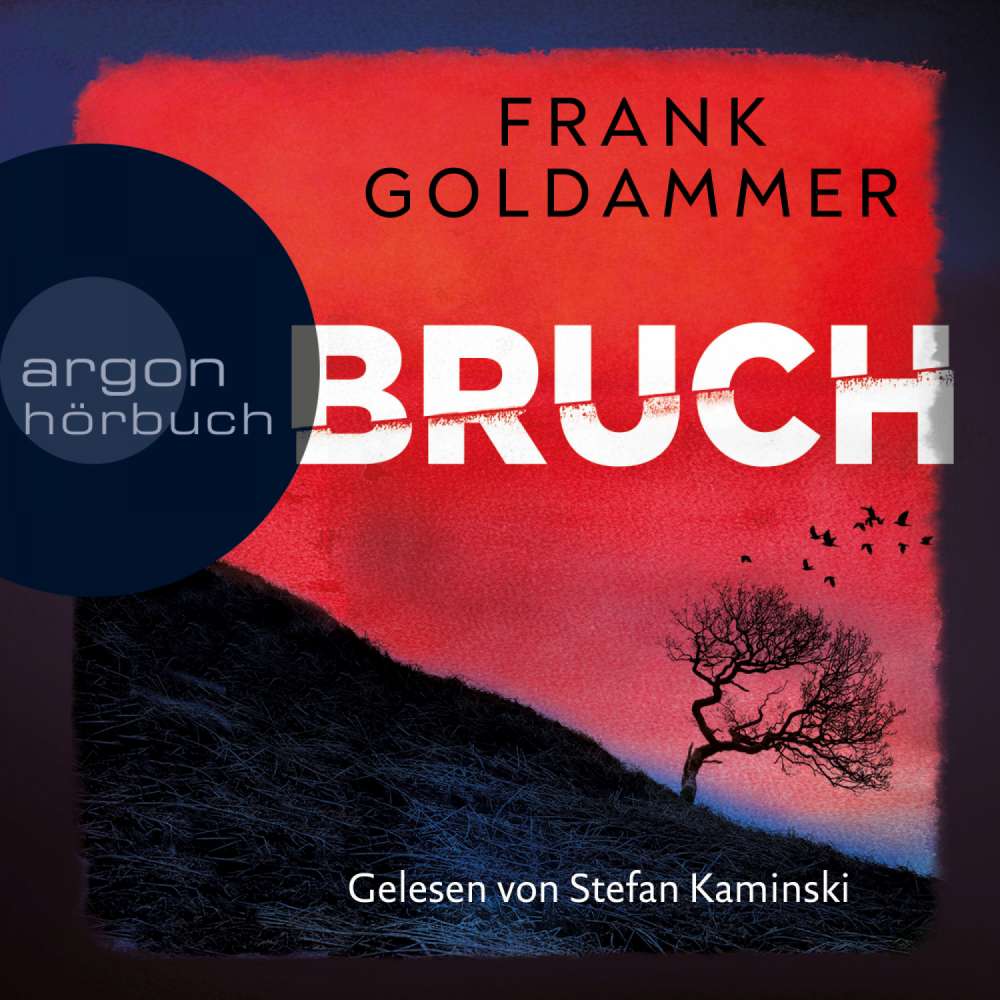 Cover von Frank Goldammer - Felix Bruch - Band 1 - Bruch - Ein dunkler Ort