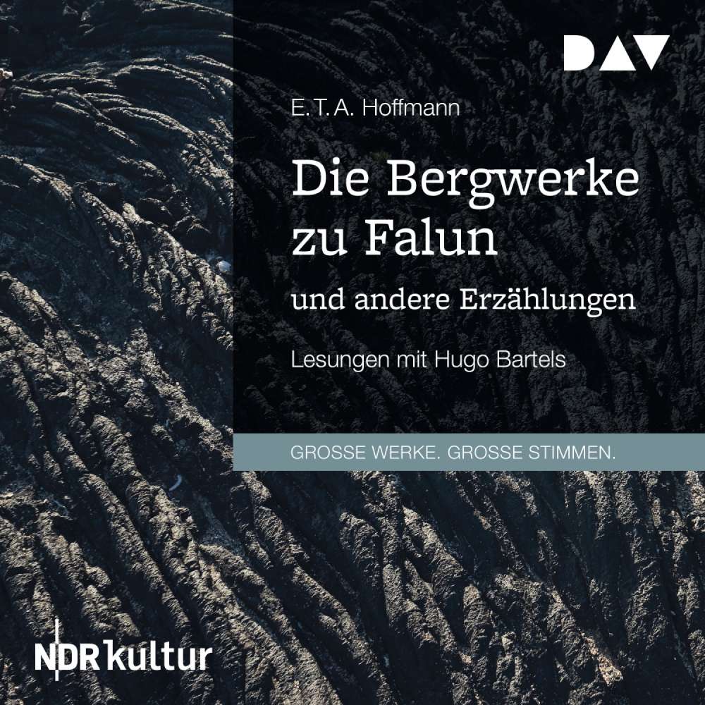 Cover von Die Bergwerke zu Falun und andere Erzählungen - Die Bergwerke zu Falun und andere Erzählungen