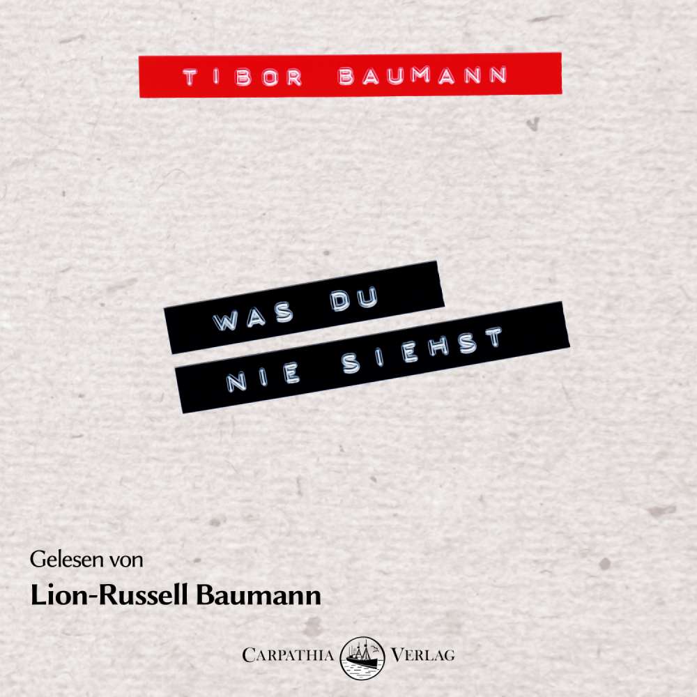 Cover von Tibor Baumann - Was du nie siehst - Ein biografischer Roman mit und über Hansi Mühlbauer