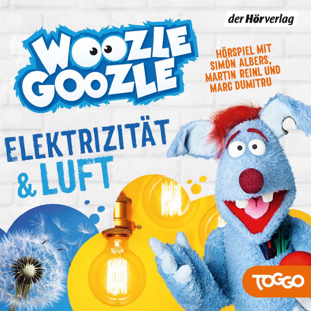 Cover von Woozle Goozle - Folge 2 - Luft & Elektrizität
