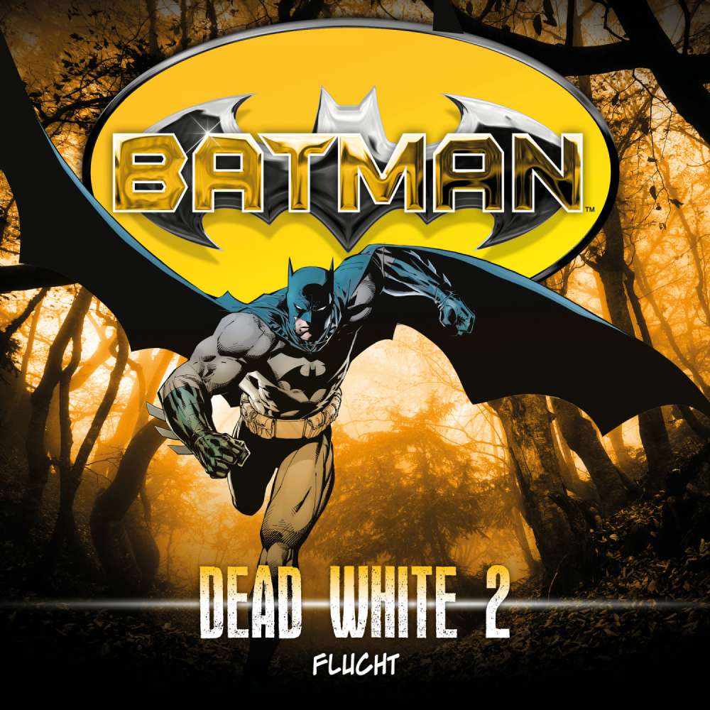 Cover von John Shirley - Batman - Folge 2 - Flucht