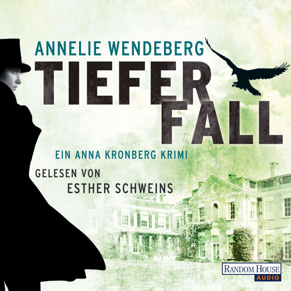Cover von Annelie Wendeberg - Tiefer Fall - Ein Anna Kronberg Krimi