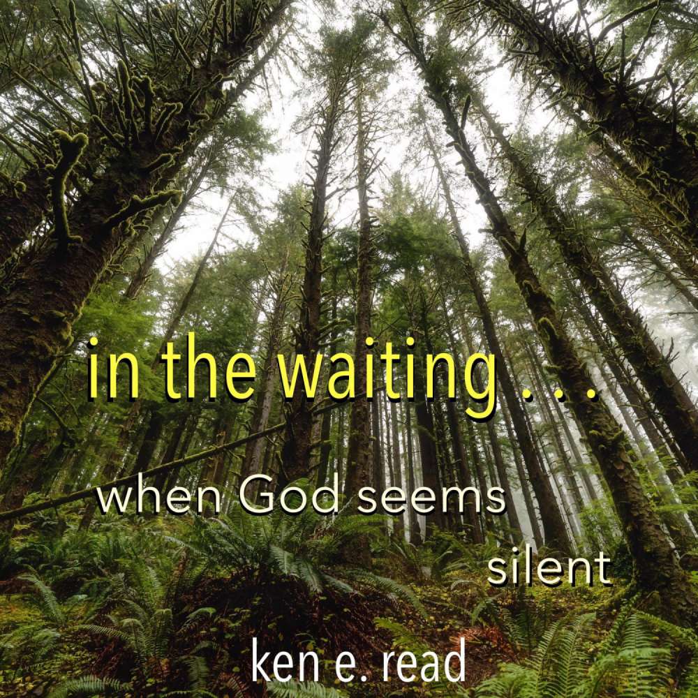 Cover von ken e. read - In the waiting... - When God seems silent