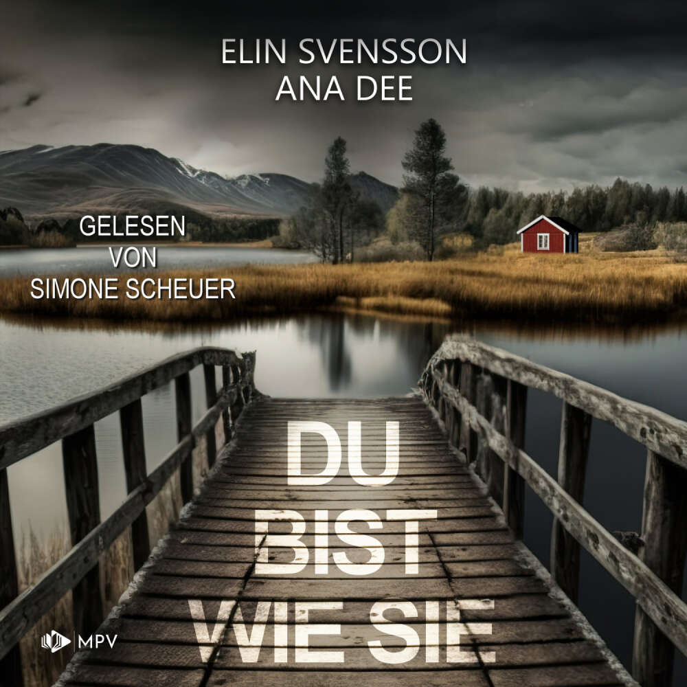 Cover von Ana Dee - Du bist wie sie: Schweden-Krimi