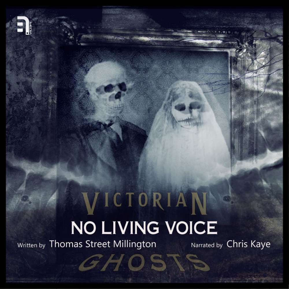 Cover von Thomas Street Millington - No Living Voice - A Victorian Ghost Story