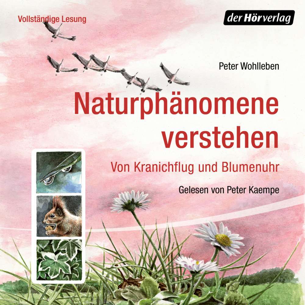 Cover von Peter Wohlleben - Naturphänomene verstehen - Von Kranichflug und Blumenuhr