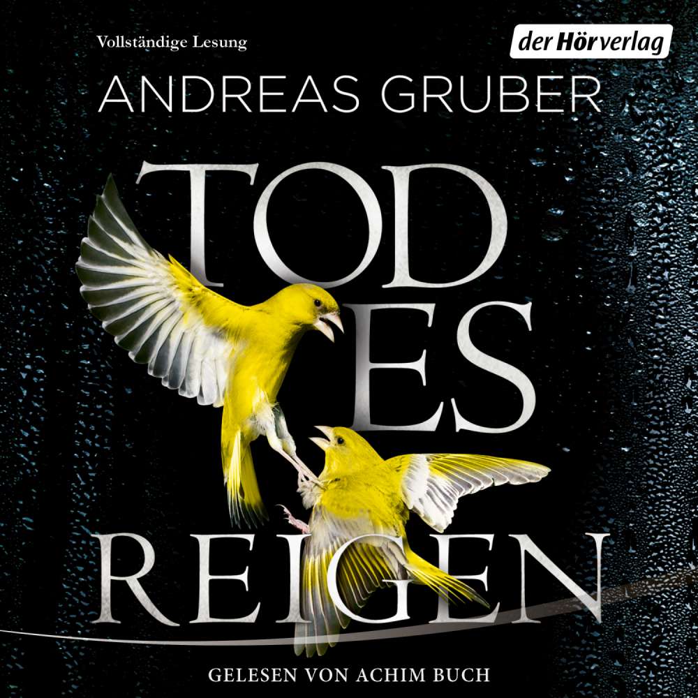 Cover von Andreas Gruber - Maarten S. Sneijder und Sabine Nemez 4 - Todesreigen